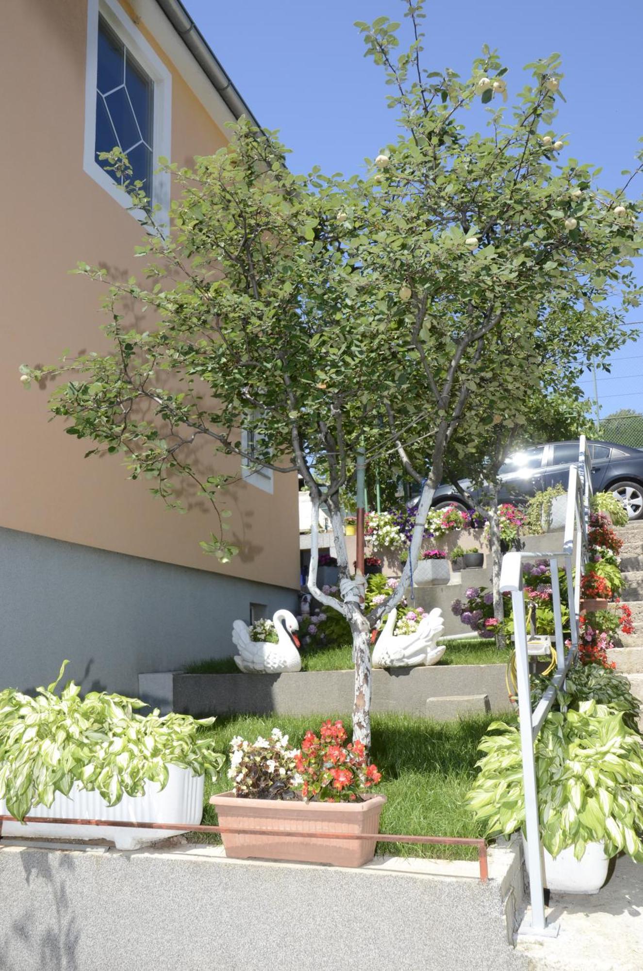 Apartments Lilly - Studio Риека Экстерьер фото