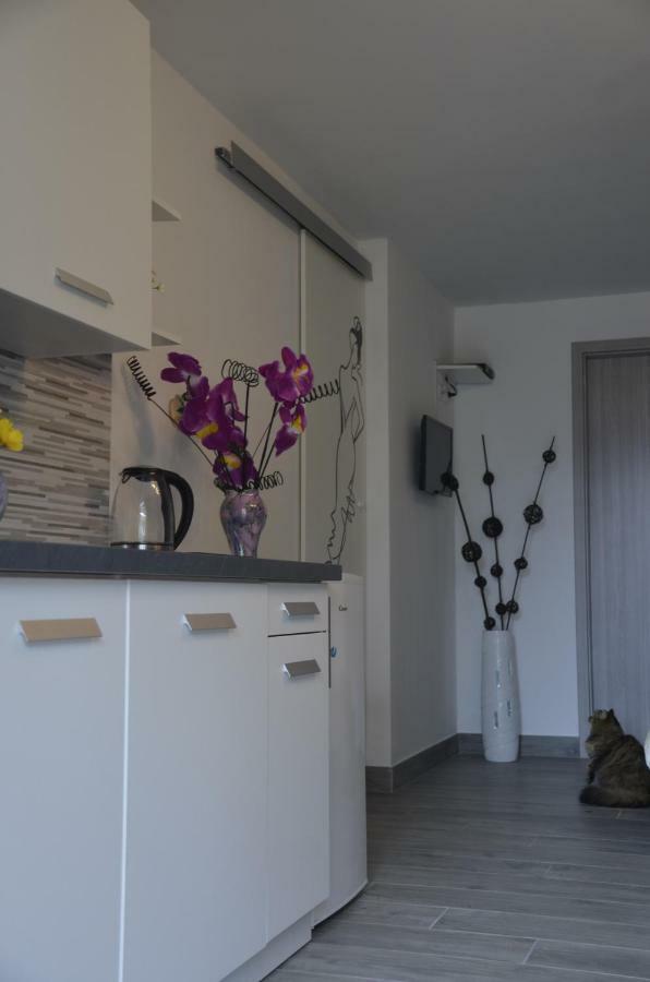 Apartments Lilly - Studio Риека Экстерьер фото
